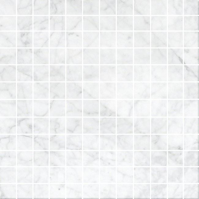 Bianco Carrara Marble 12" x 12" Polished from Garden State Tile