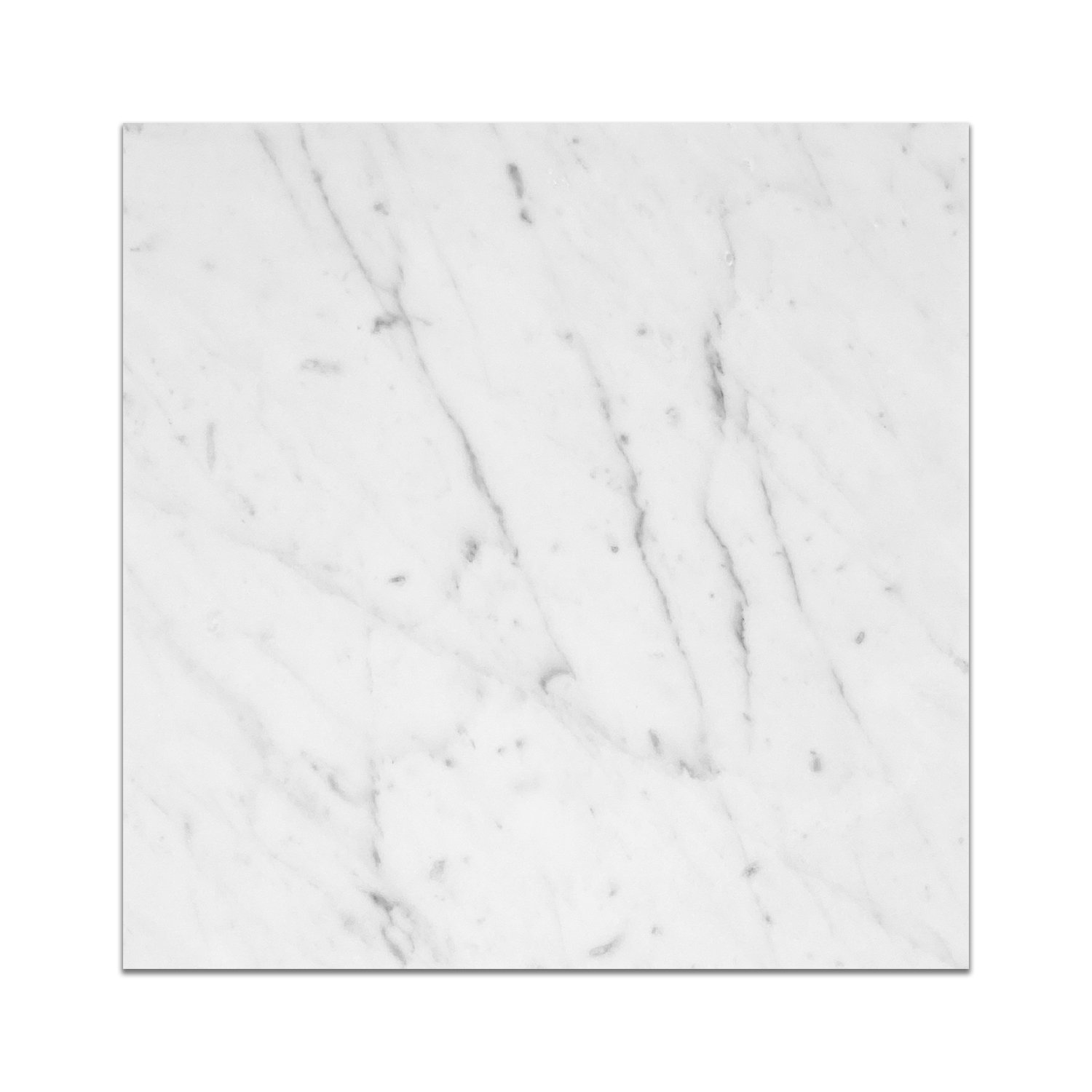 Bianco Carrara Marble 12 X 12 Honed From Garden State Tile