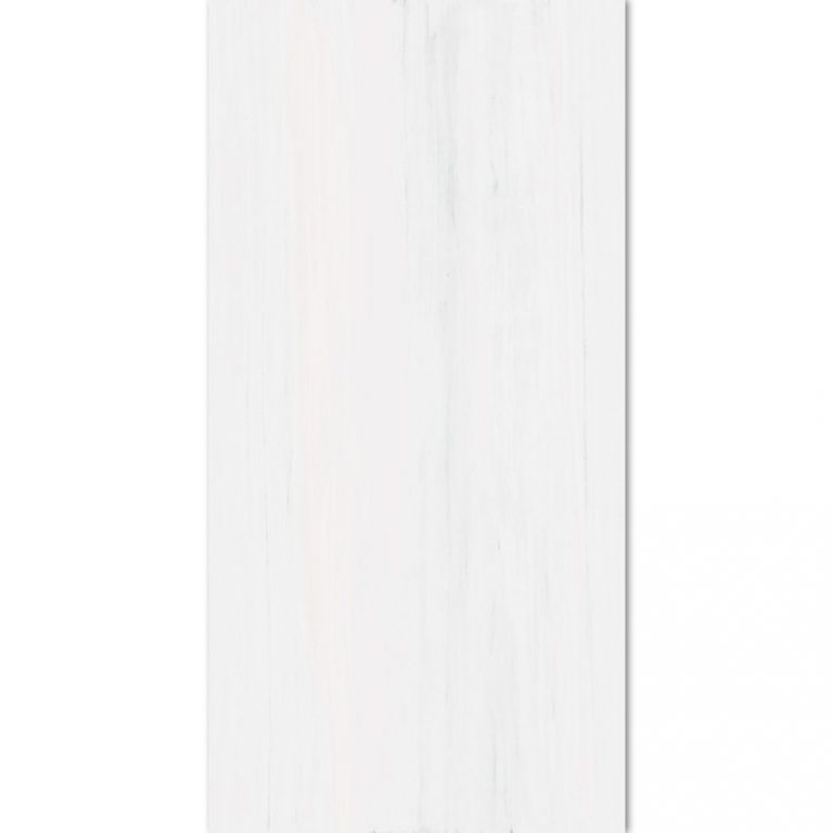 BiancoVista 24" x 48" Rectified from Garden State Tile