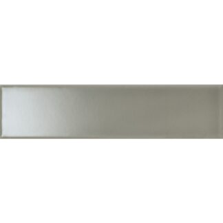 Salvia Flat 2" x 10" Glossy