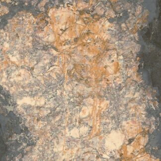 Breche Vendome 48X48 Polished