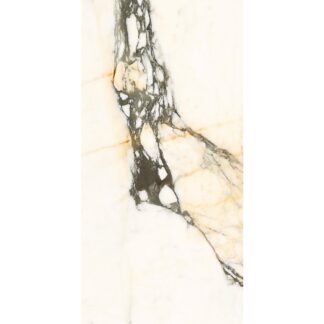 Calacatta Paonazzo 24X48 Polished