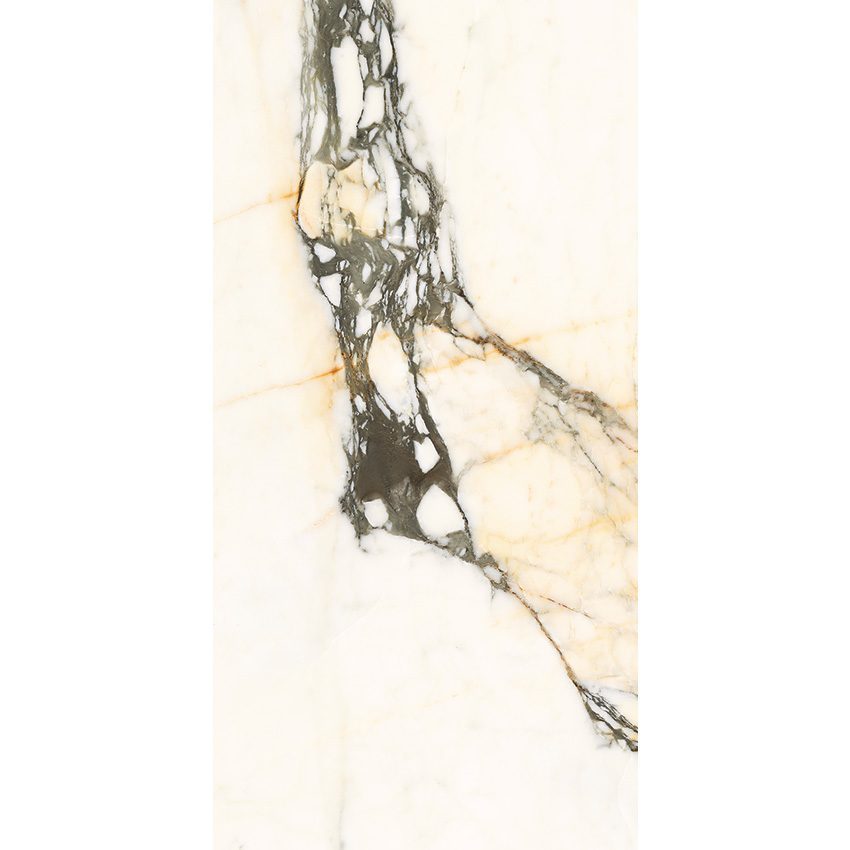 Calacatta Paonazzo 24X48 Polished