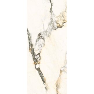 Calacatta Paonazzo 48X110 Polished