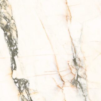 Calacatta Paonazzo 48X48 Polished