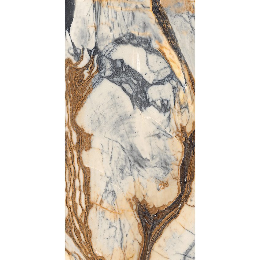 Calacatta Picasso 24X48 Polished