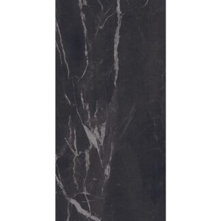 Montecarlo Black 24X48 Matte