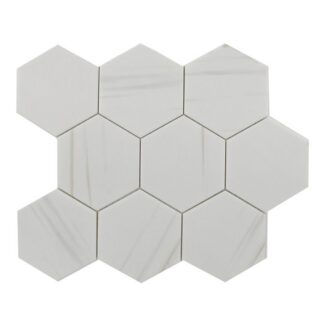 Bianco 4" Hexagon Mosaic