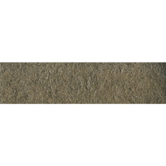 Verde Muschio 2.5X9.5 Matt