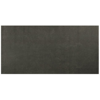 Charcoal 12" x 24" Unpolished