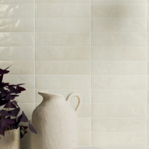 glossy white small format tiled wall with white jug and plant