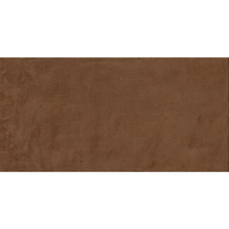 Terracotta 12X24 Matte