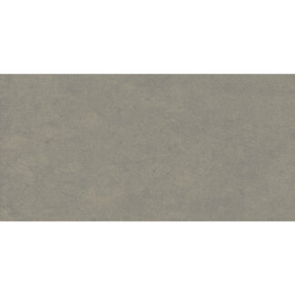 Gothic Grey 12X24 Nat