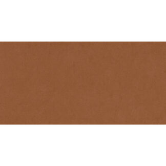 New-Age Terracotta 12X24 Nat