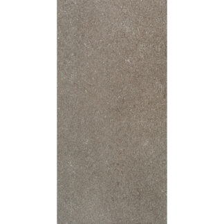 Earth Brown 24X48 Structured Rett 2CM